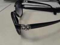 CS1540/2025 SUNGLASSES 